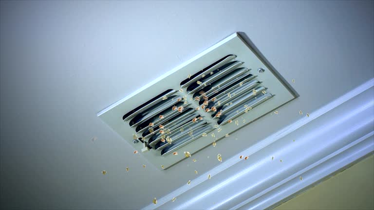 Best Air Duct Cleaning Company Near Me  in Waukomis, OK